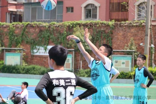 哪里能找到关于智能球衣在篮球训练中应用的信息_2